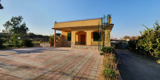 Piedimonte – A pochi km dal mare e dal centro